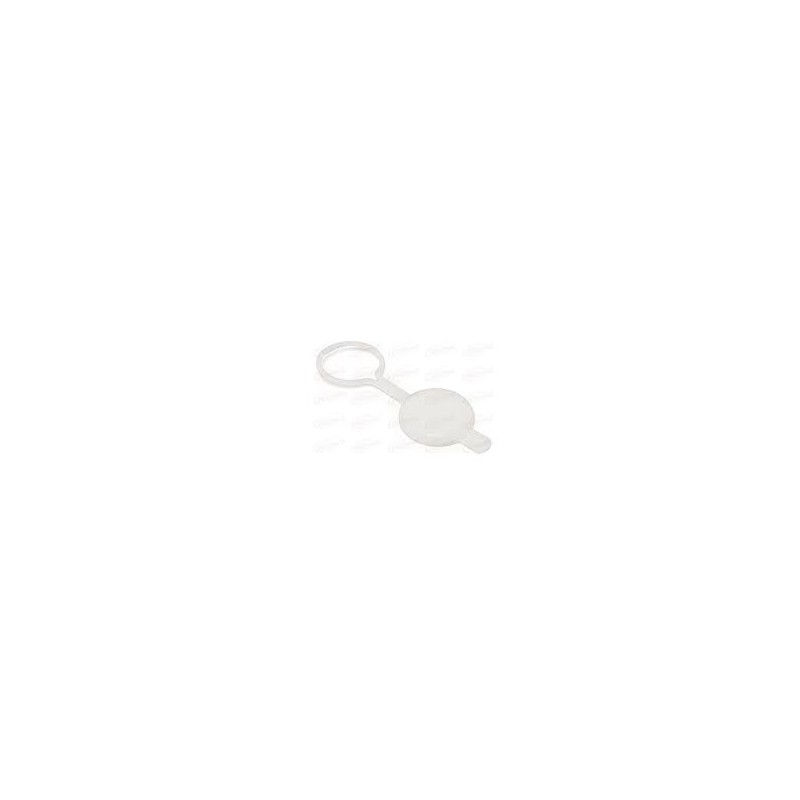 Wiper Water Tank Cover